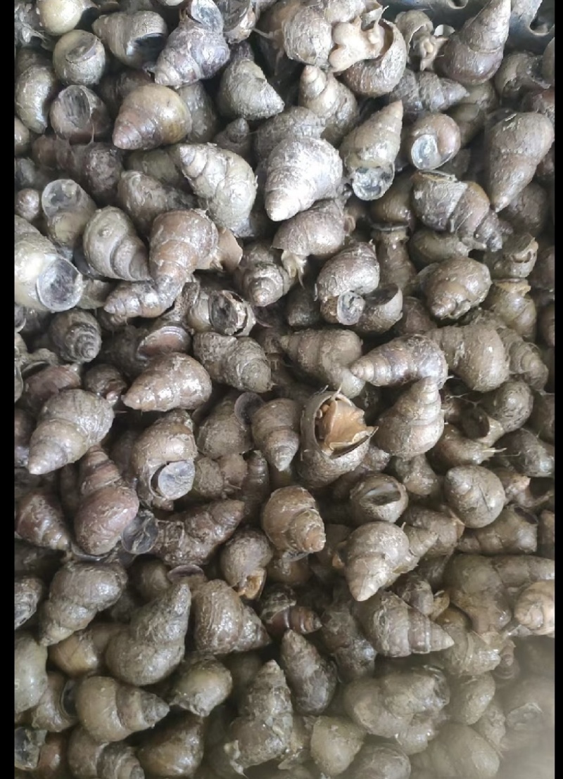 苏北1.8以上泡头螺丝