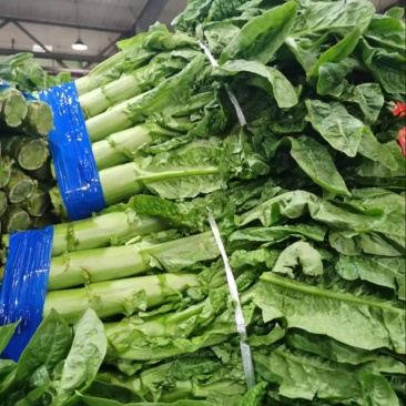 蔬菜代卖莴笋，双福国际农贸城各种蔬菜代卖，承接种植大户合