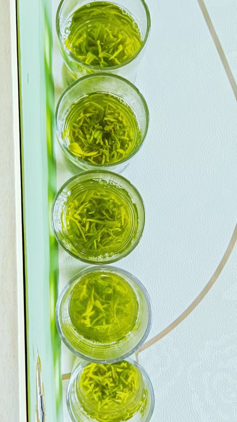 汉中绿茶