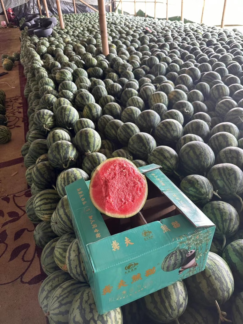 【实力供应】河南美都大棚西瓜产地直发品质好全国发货