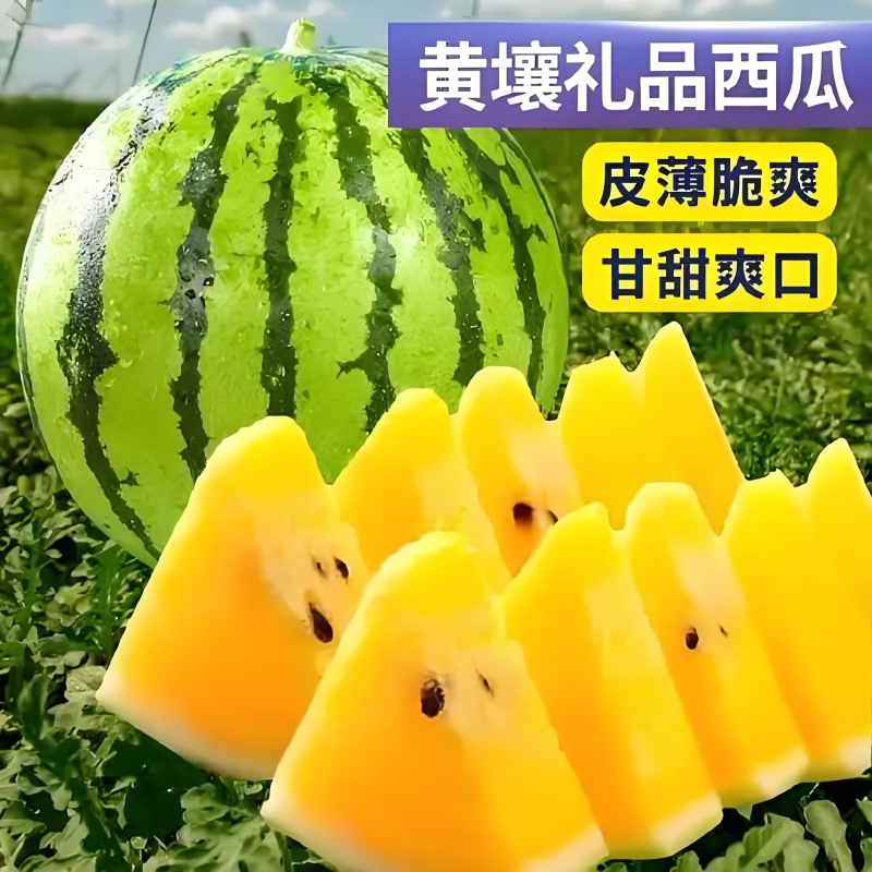 江苏特小凤西瓜，头茬西瓜，品相好！价格便宜！大量供货。