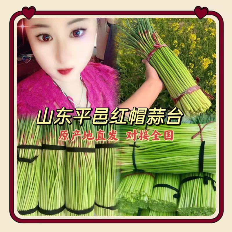 蒜苔平邑红帽蒜苔，沂蒙山蒜苔产地发货小工打包一条龙服务可