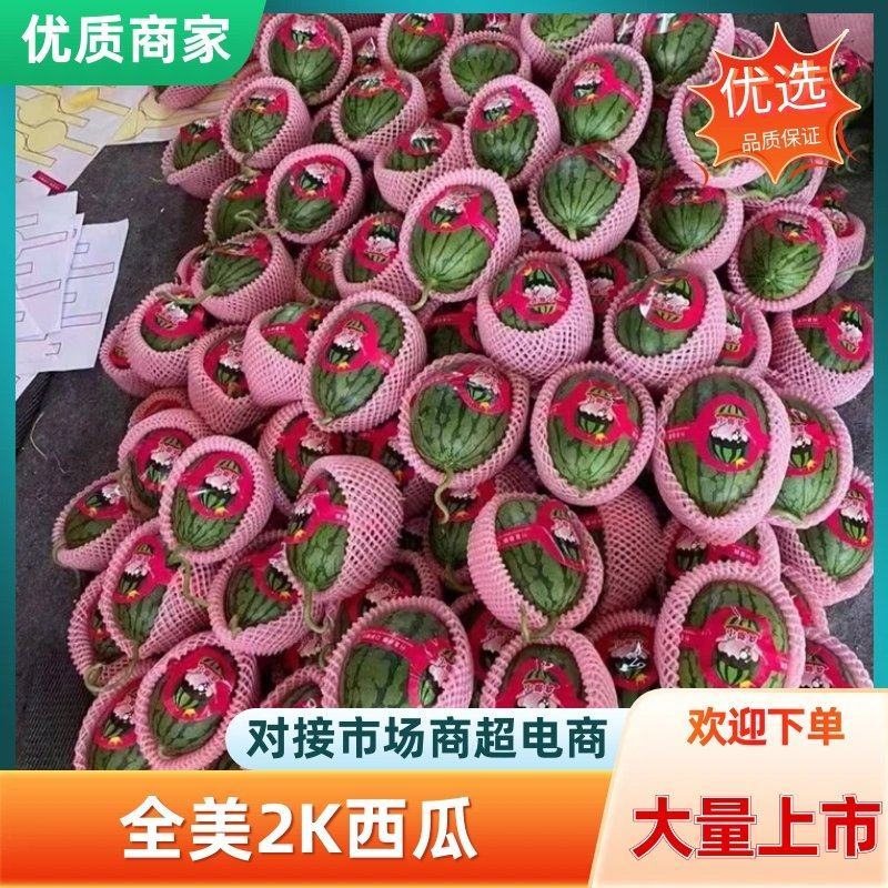 小糖丸西瓜全美2k手撕西瓜商超电商供货代发全国市场
