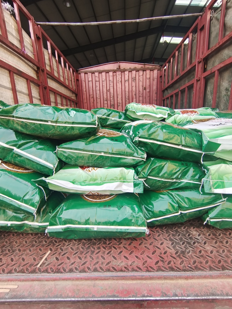 孜然新疆精品孜然孜然粉孜然量大价美一件代办