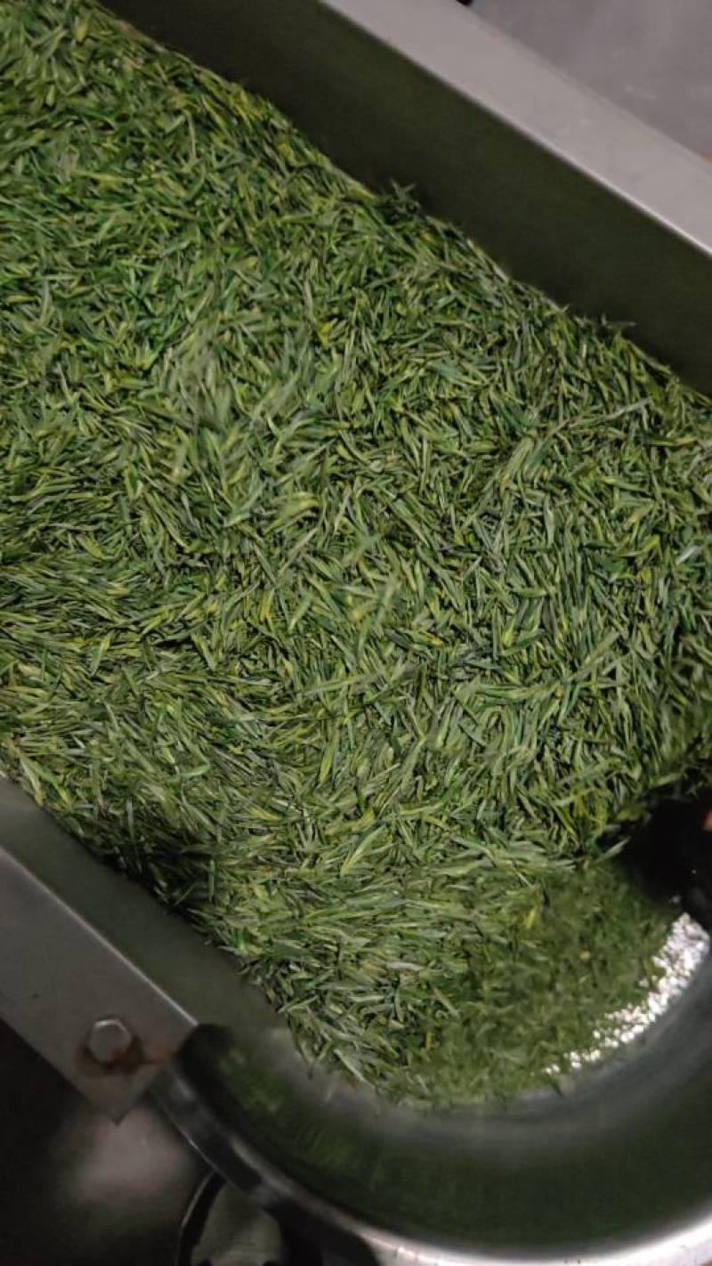 湖南原产地直供，鲜嫩毛尖茶，清香回甘，品味自然好茶。