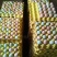 鸡类产品