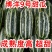 山东莘县燕店香瓜久红瑞甜玉菇甜瓜绿宝甜瓜产地直销实力供货