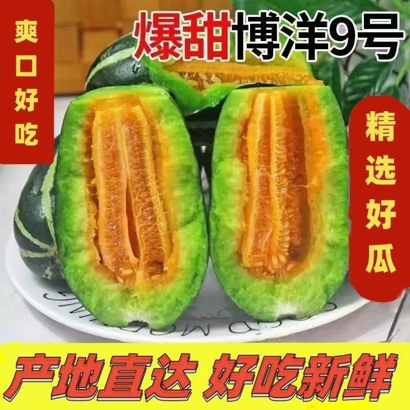 山东莘县燕店香瓜久红瑞甜玉菇甜瓜绿宝甜瓜产地直销实力供货