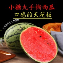 早春红玉，全美2k西瓜，头茬瓜，包熟包甜，全国代发。