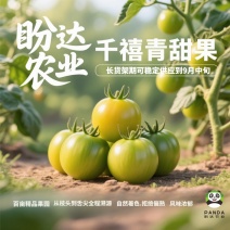 千禧青甜，甜蜜多汁，风味鲜美，百亩基地，品质稳定.