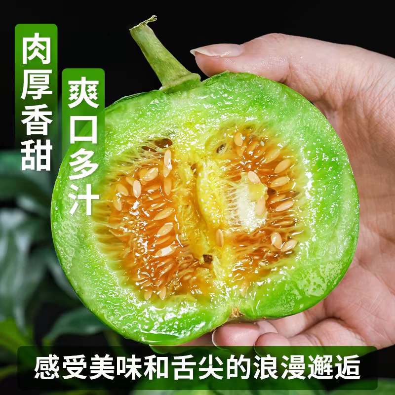 山东莘县燕店香瓜久红瑞甜玉菇甜瓜绿宝甜瓜产地直销实力供货
