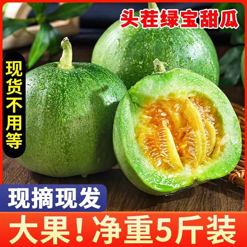 绿宝甜瓜莘县燕店甜瓜实力供货电商社区商超品质保证一件起批