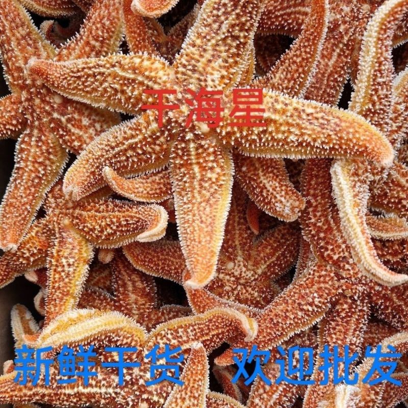 深海新货干海五星海盘车滋补煲汤泡酒佳品