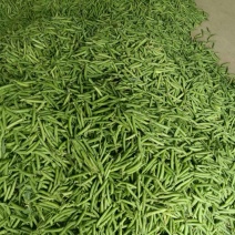 精品豌豆中豌9号双花十一长寿仁双十二产地直发货源充足