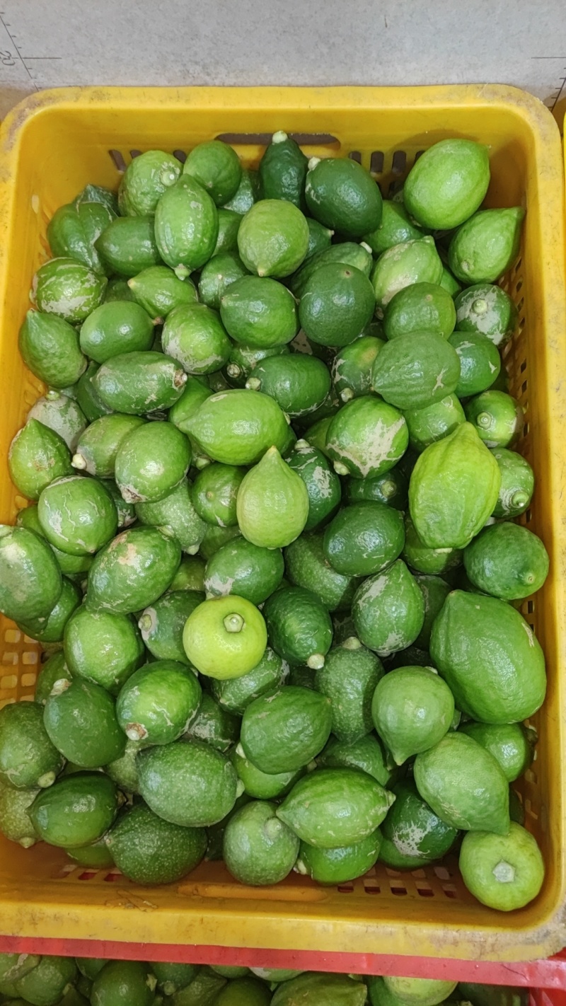 广东香水柠檬，广东无籽柠檬