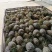 云南菠萝/云南无眼凤梨/金钻凤梨/香水菠萝日供应2万斤