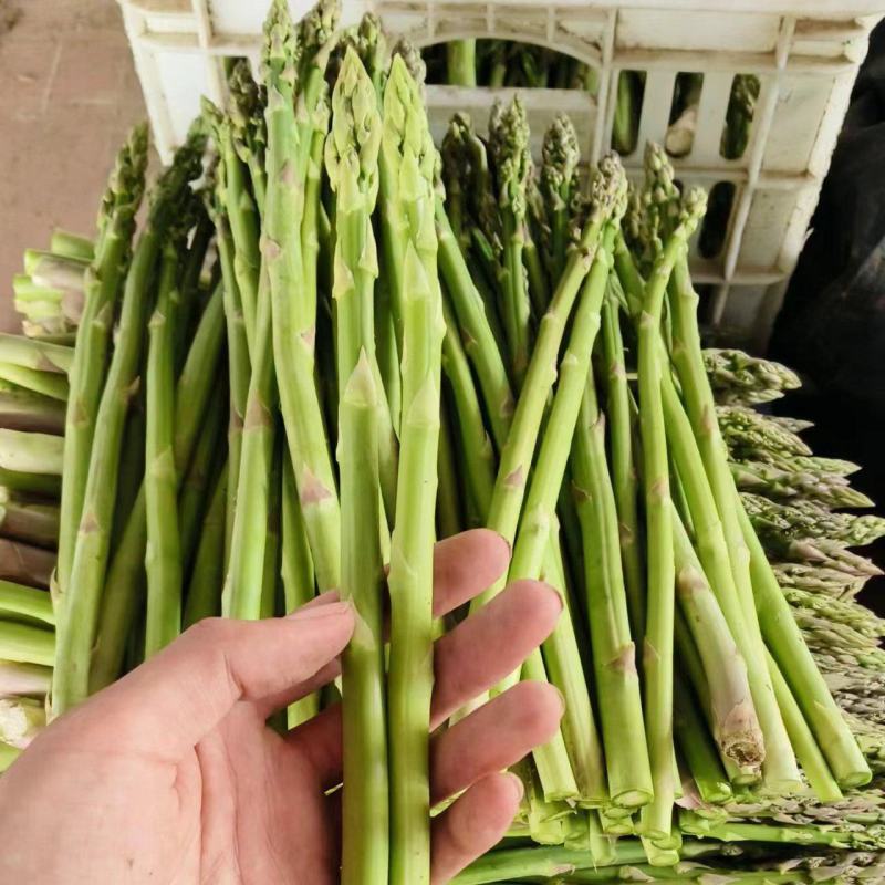 新鲜芦笋量大便宜