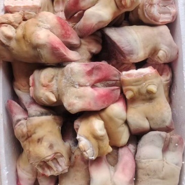 新鲜精品牛蹄