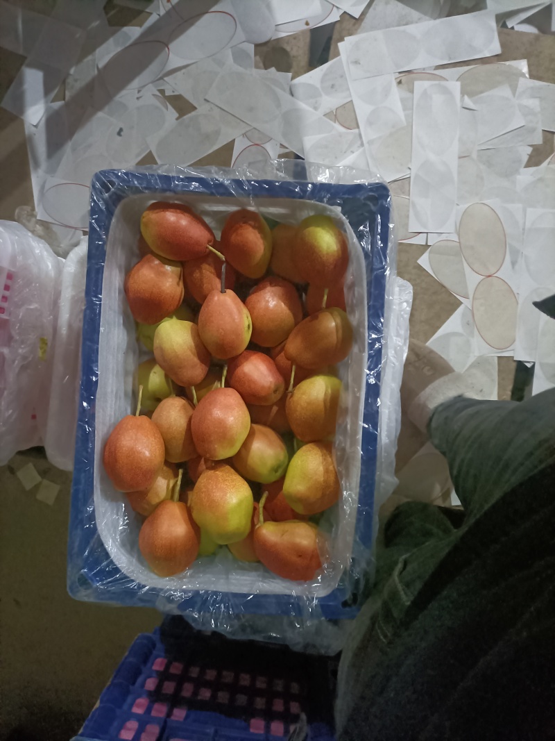 红香酥梨！脆甜可囗！