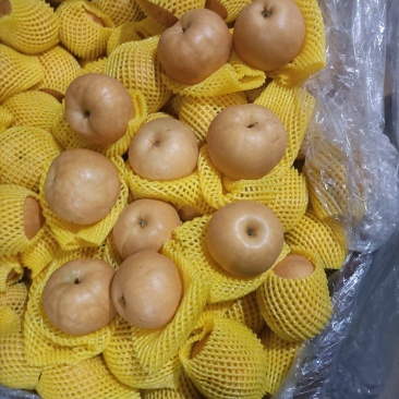 南水梨！甘甜可囗，品质**！