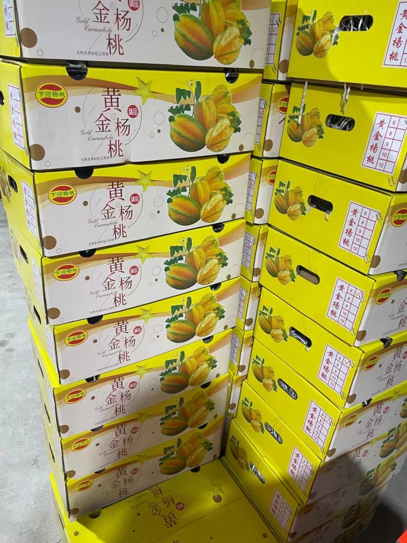 增城黄金桃。可包送，可上车