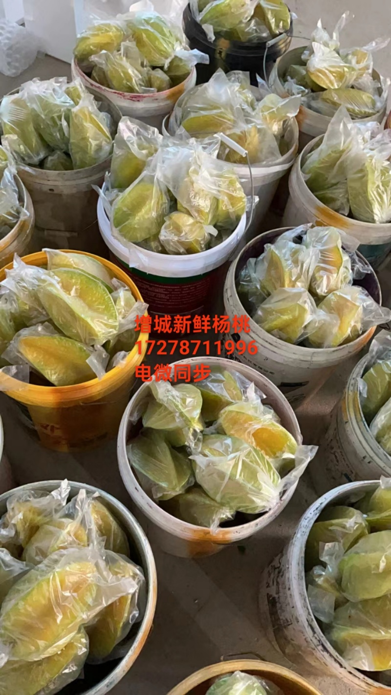 增城黄金桃。可包送，可上车