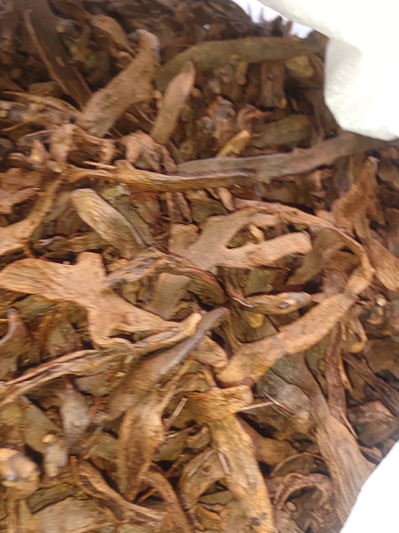 骨碎补