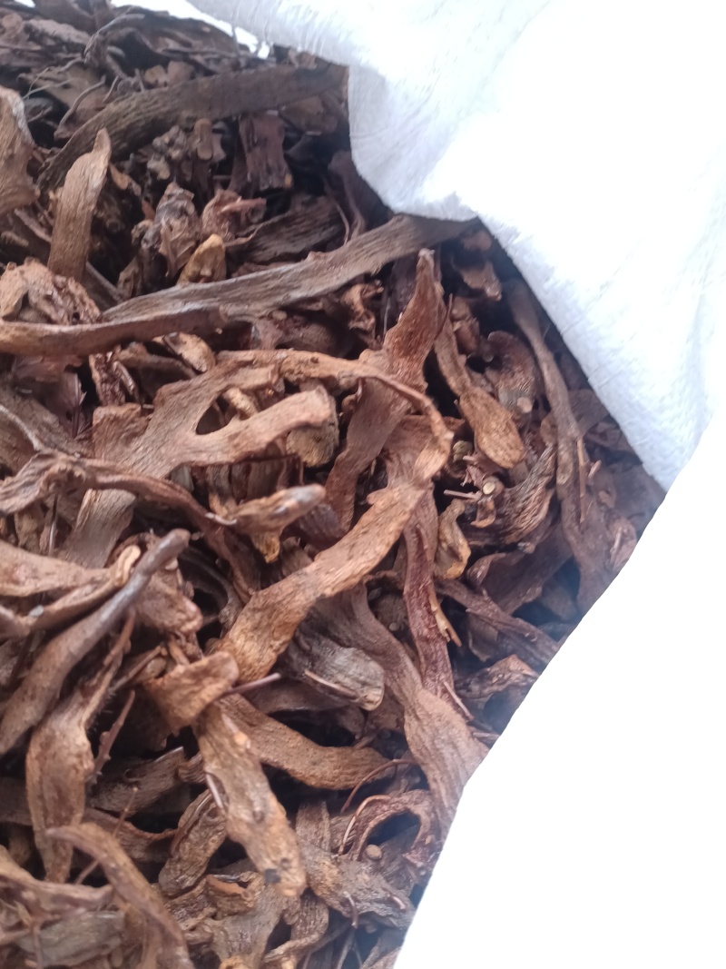 骨碎补