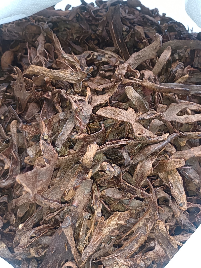 骨碎补