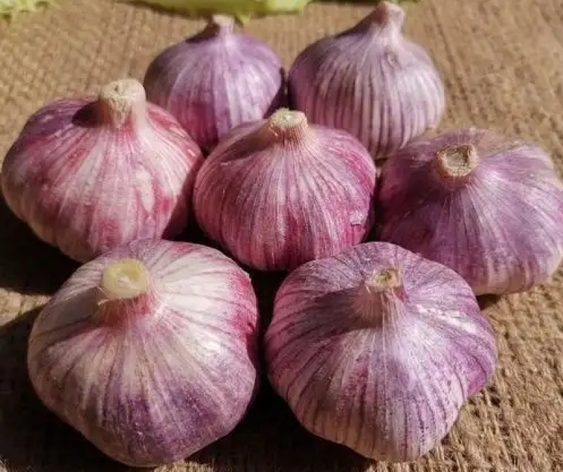 新鲜大蒜