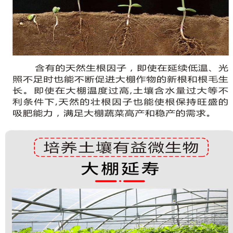 根力四射生化矿源糖蜜液微生物菌剂爆根养地果蔬大棚专用桶肥