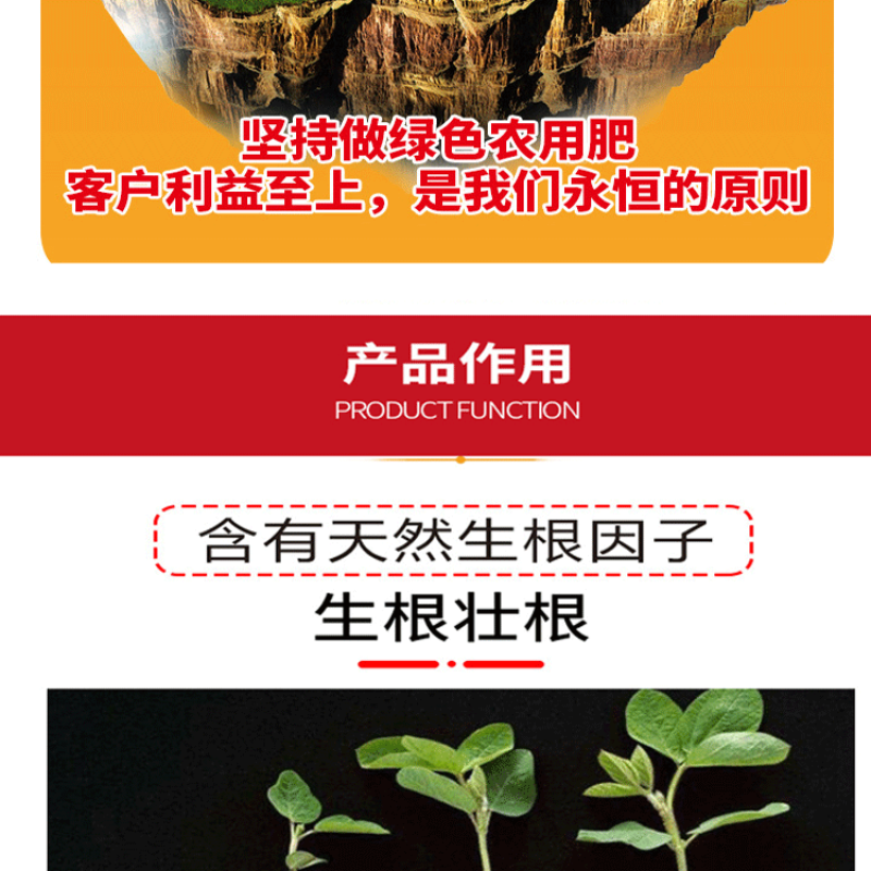 根力四射生化矿源糖蜜液微生物菌剂爆根养地果蔬大棚专用桶肥
