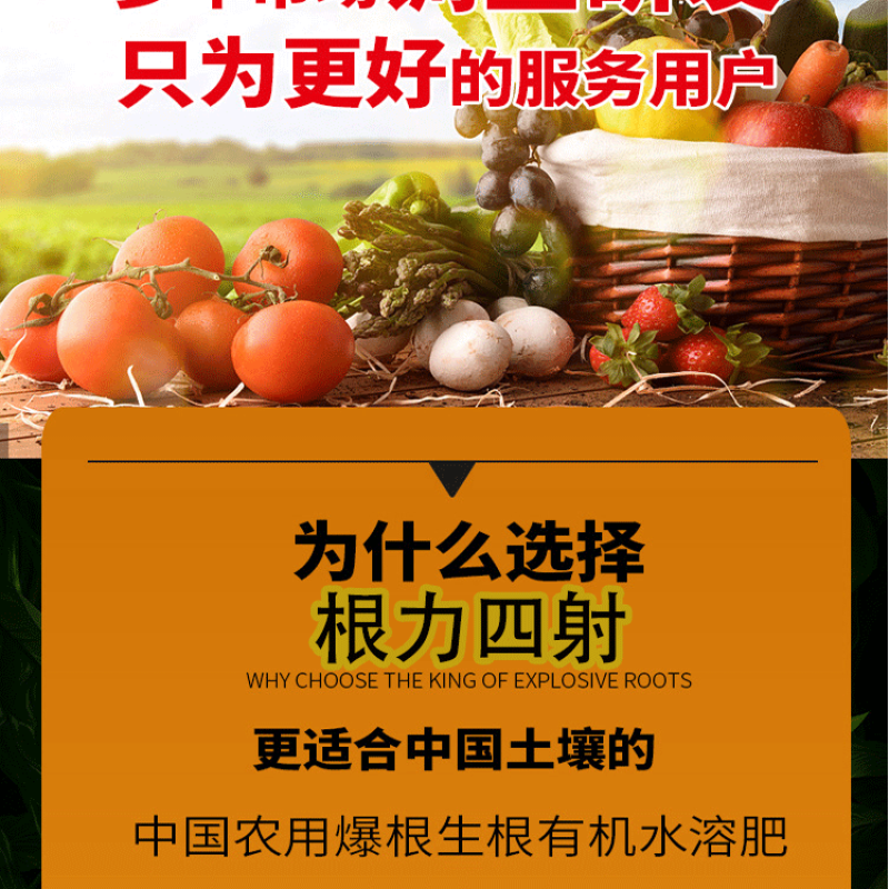 根力四射生化矿源糖蜜液微生物菌剂爆根养地果蔬大棚专用桶肥