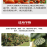 根力四射生化矿源糖蜜液微生物菌剂爆根养地果蔬大棚专用桶肥