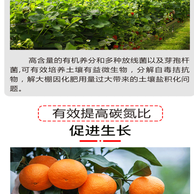 根力四射生化矿源糖蜜液微生物菌剂爆根养地果蔬大棚专用桶肥