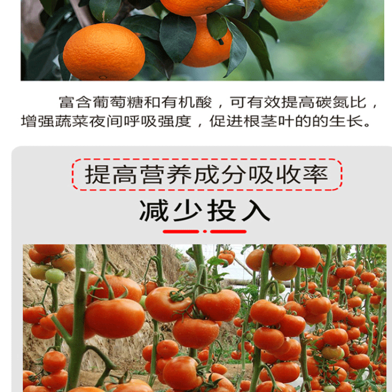 根力四射生化矿源糖蜜液微生物菌剂爆根养地果蔬大棚专用桶肥