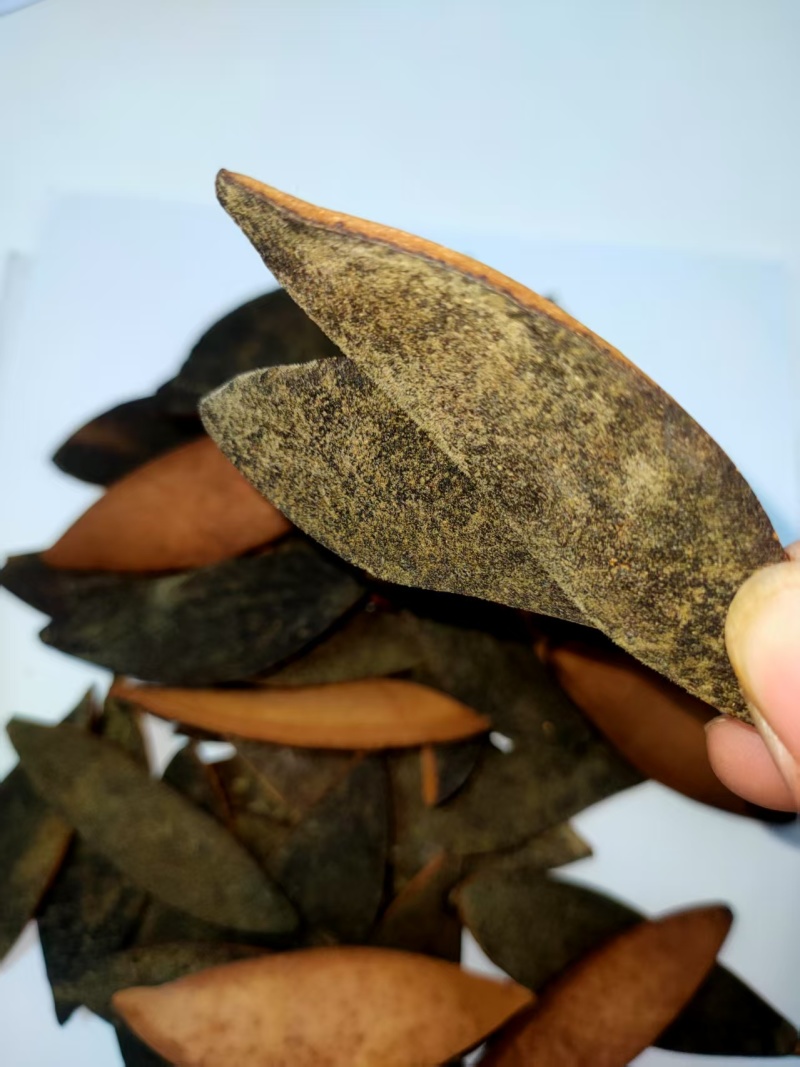 化橘红爪片，单爪片，七爪扎片精品产地发货，对接市场。