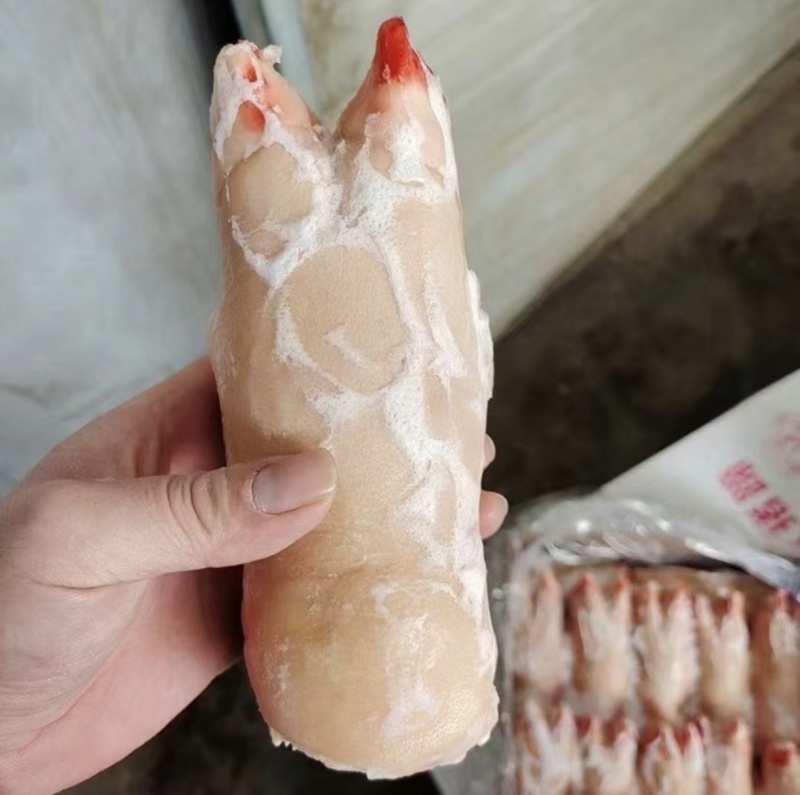 老板你好，今天（4月5日），猪副产品价格很不错，如果需要