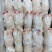 老板你好，今天（4月5日），猪副产品价格很不错，如果需要