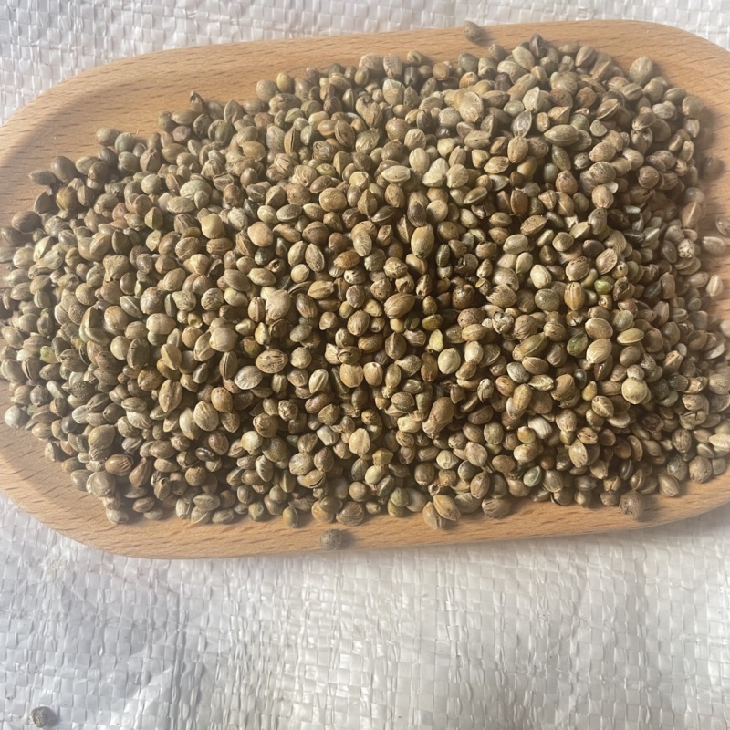 火麻仁大货供应保真保量包邮