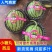 2K小糖丸西瓜，皮薄手剥瓜，产地直发代发全国
