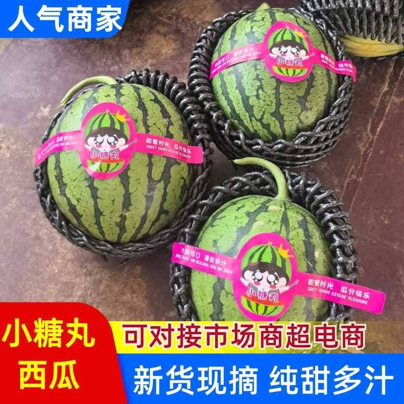 2K小糖丸西瓜，皮薄手剥瓜，产地直发代发全国