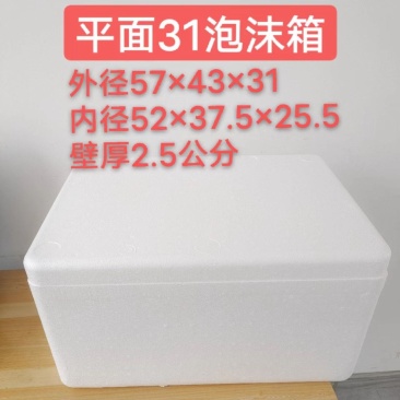 平面31号泡沫箱商用摆摊冷藏箱泡沫箱批发厂家直销