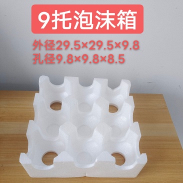 9果托泡沫箱桃子梨苹果泡沫包装泡沫箱厂泡沫箱批
