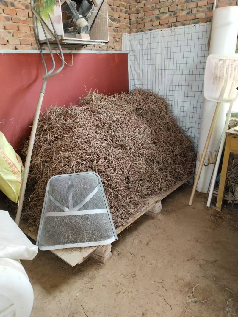 产地直销牡丹根牡丹皮干度好无杂志现场看货视频看货实地看货
