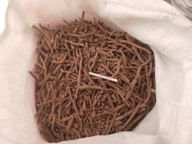 产地直销牡丹根牡丹皮干度好无杂志现场看货视频看货实地看货