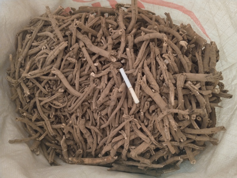 产地直销牡丹根牡丹皮干度好无杂志现场看货视频看货实地看货