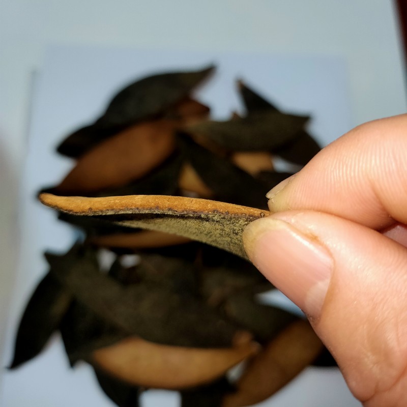 正宗化橘红单爪皮