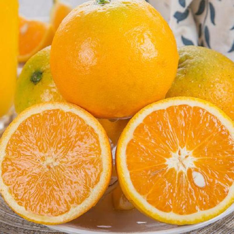 夏橙湖北产区酸甜可口个头大水分足种植面积大欢迎全国客商