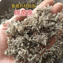 绵茵陈茵陈现货供应批发各种中药材量大优惠